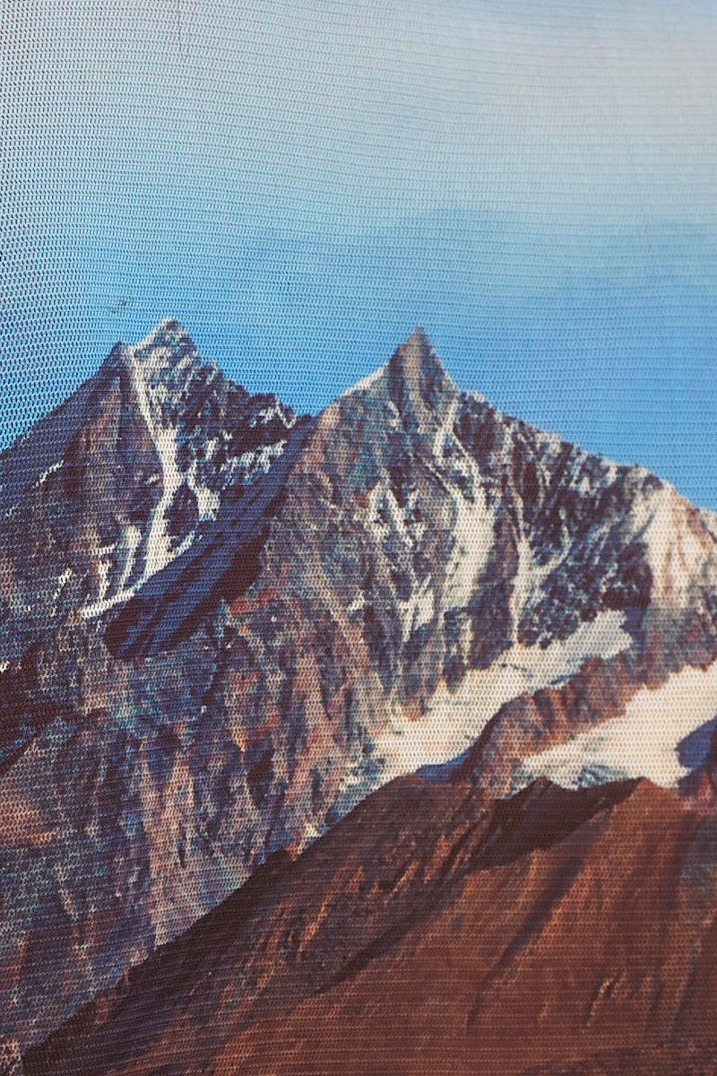 Blue Print Abstract Mesh Crop Top Long Sleeve