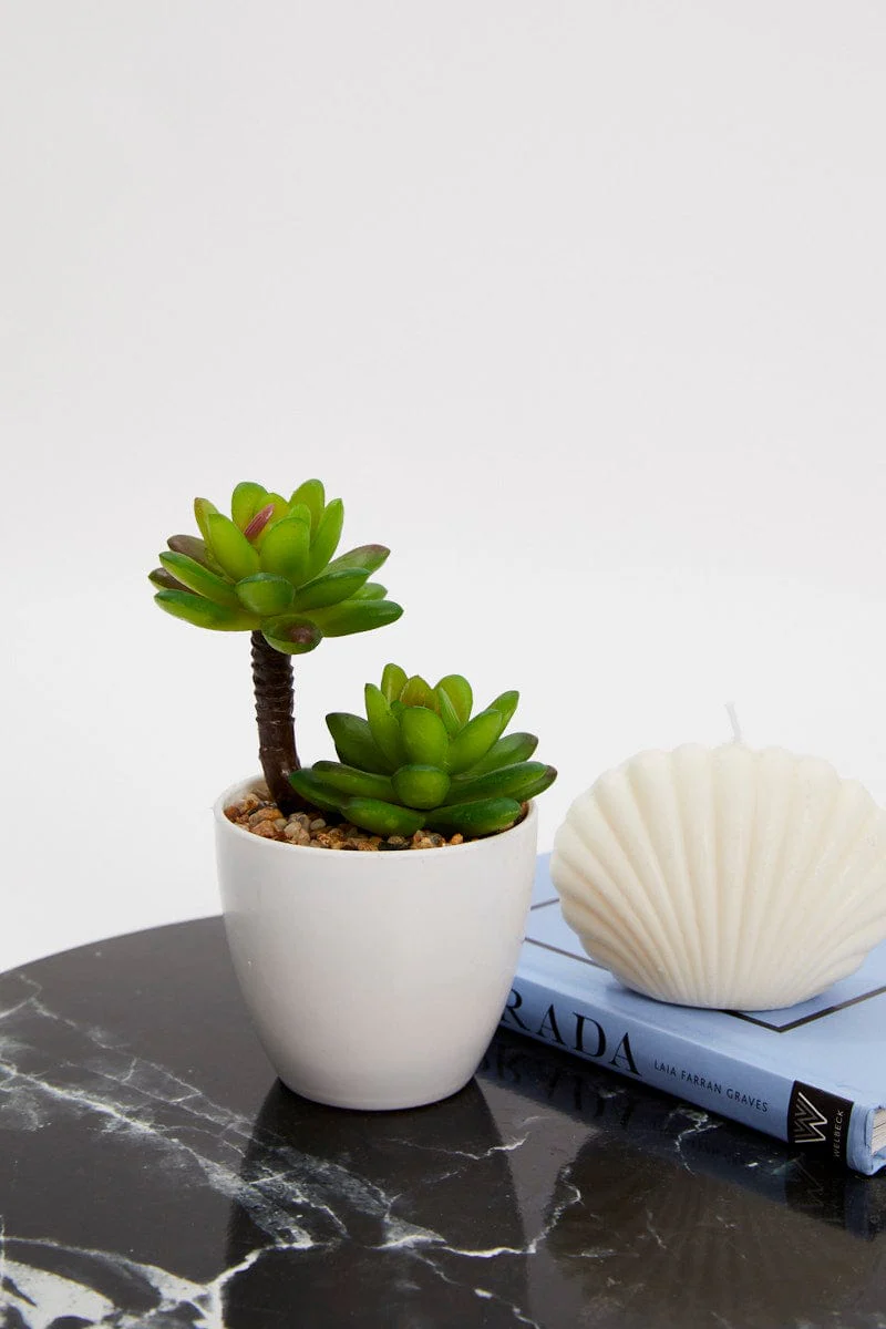 Green Artificial Potted Cactus