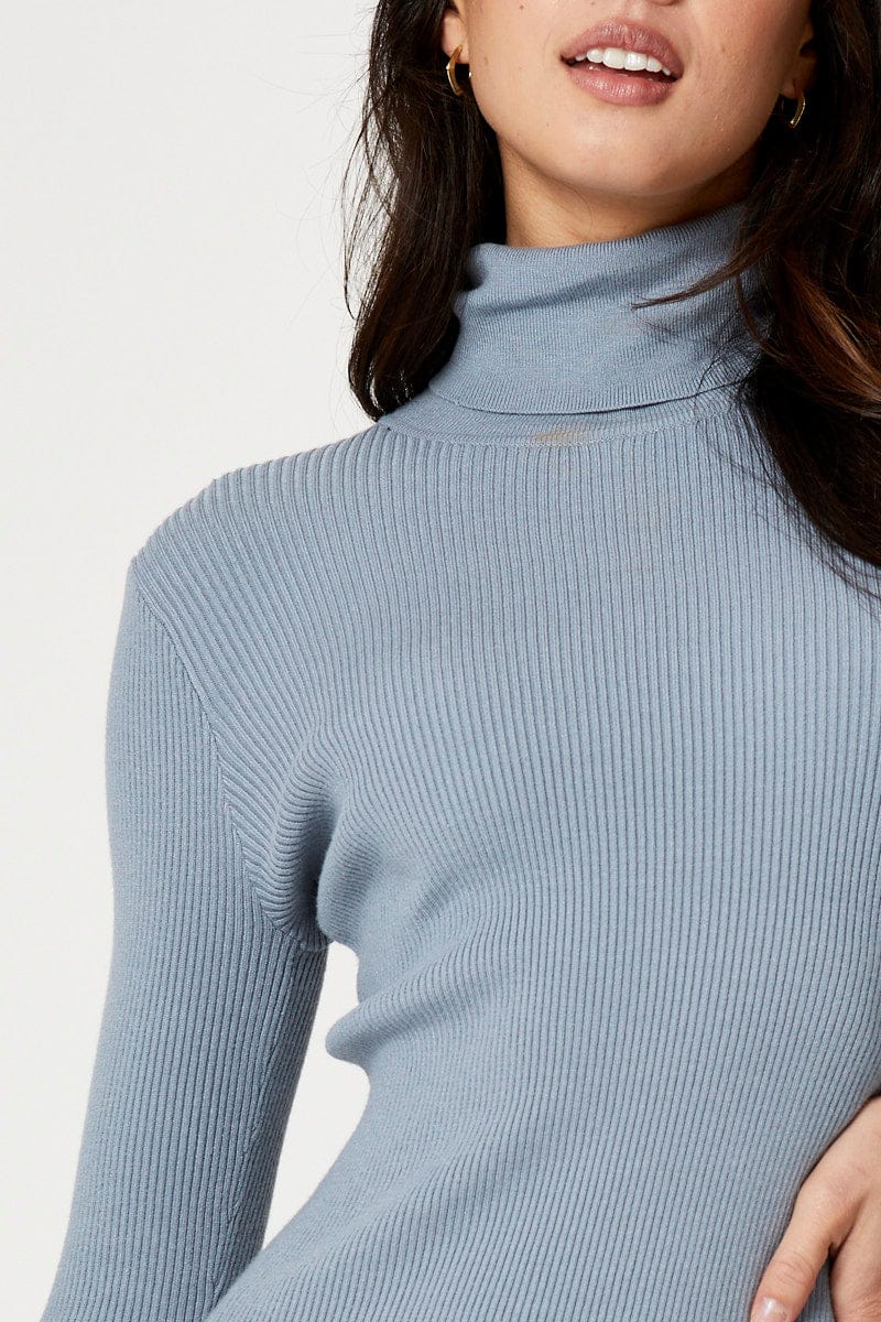 Blue Long Sleeve Rib High Neck Dress