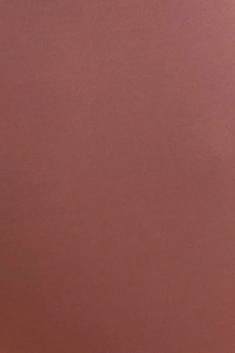 Purple Bike Short 7 Length Active