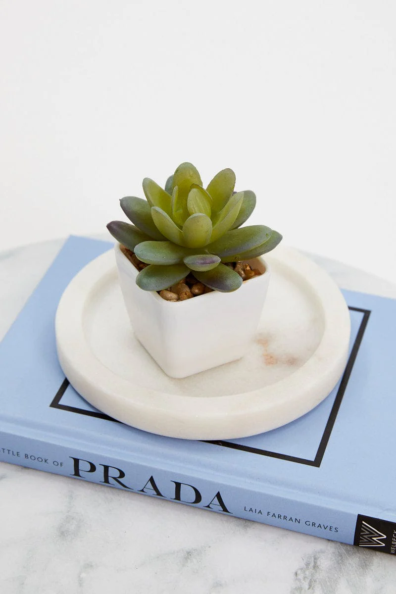 Green Artificial Potted Cactus