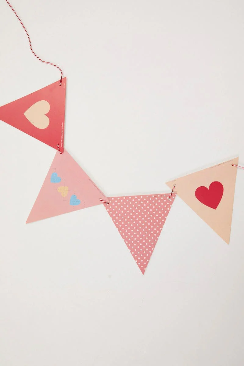 Multi Bunting Banner