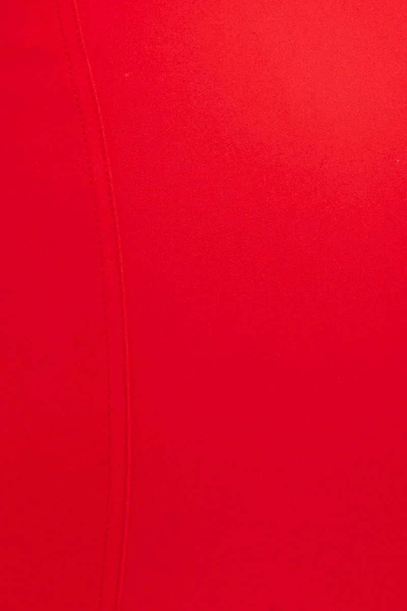 Red Corset Top Crop Sleeveless