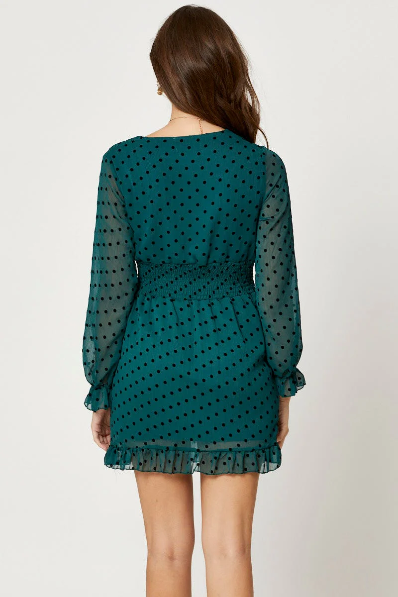 Polka Dot Skater Dress