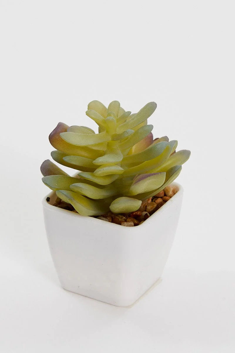 Green Artificial Potted Cactus