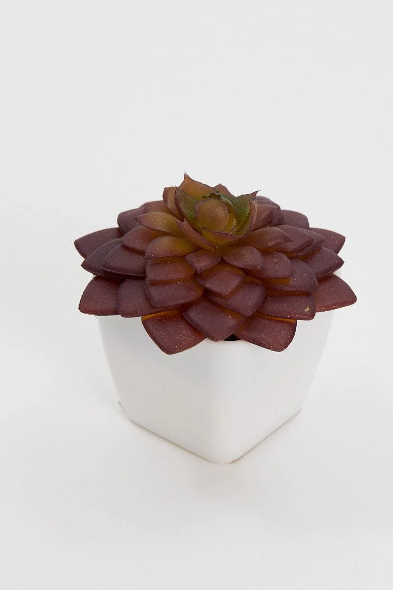 Red Artificial Potted Cactus