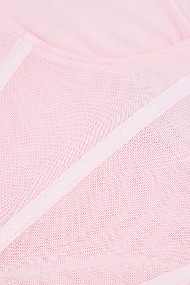 Pink Mesh Corset Top Lingerie