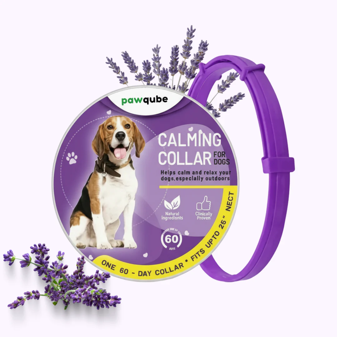 PawQube™ - Calming Collar for Dogs