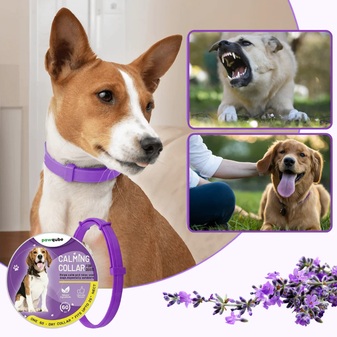 PawQube™ - Calming Collar for Dogs