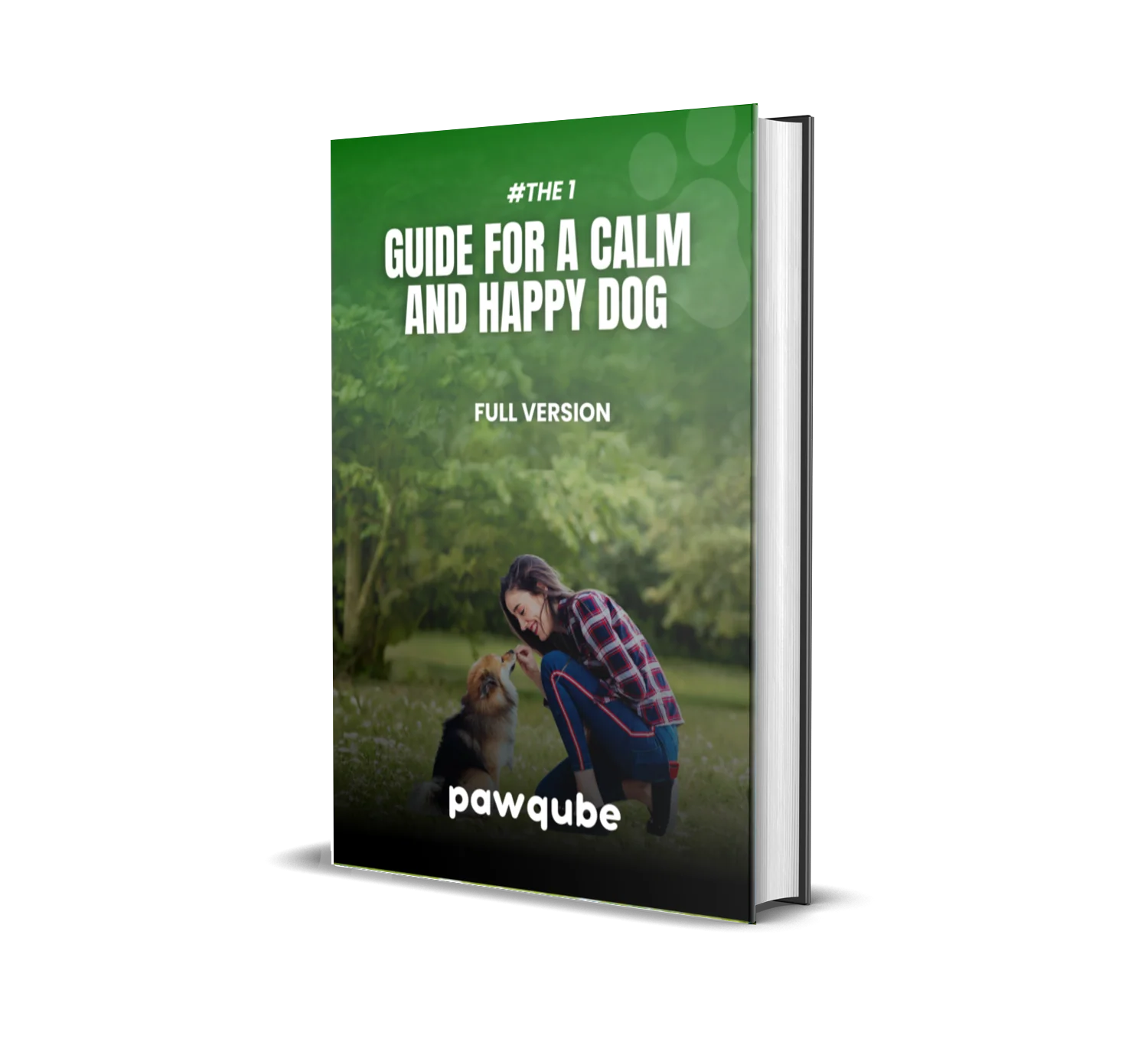 Guide for a Calm and Happy Dog