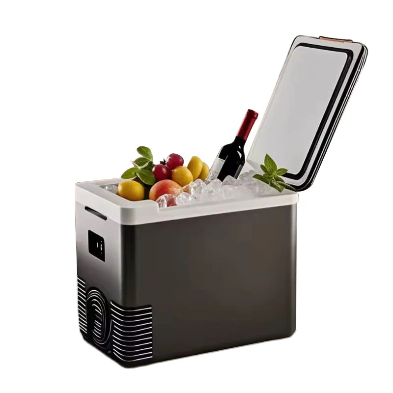 2 in 1 Car Refrigerator Warmer