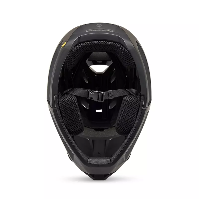 Proframe Helmet