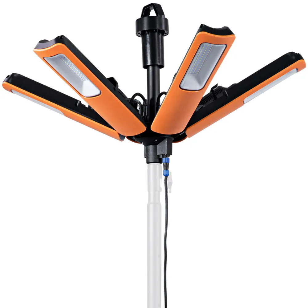 Detroit Power & Lighting