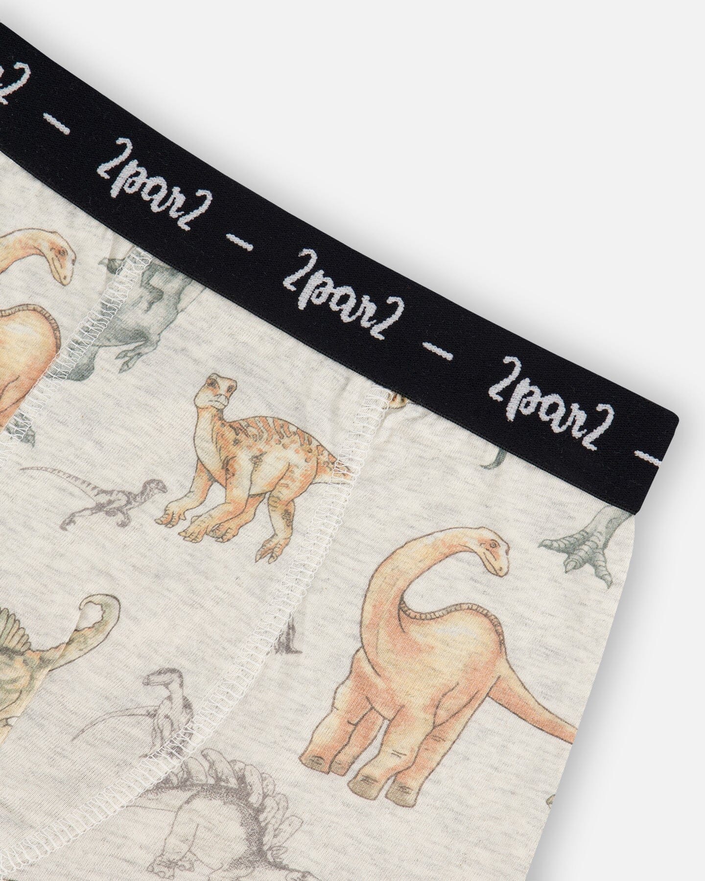 Printed Organic Cotton Boxer Shorts Dinosaur On Mottled And Tan Background - Deux par Deux