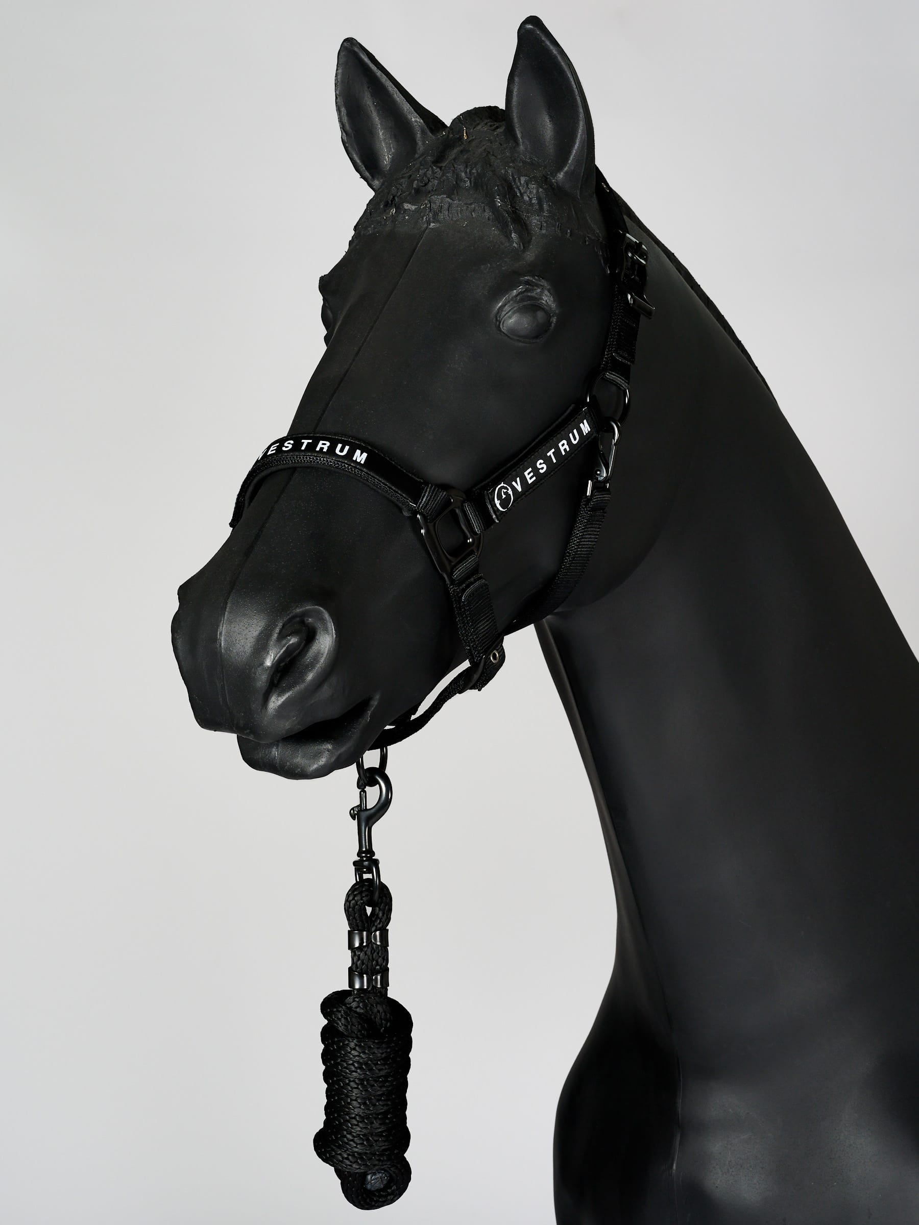 LOCRI HALTER + LEAD ROPE
