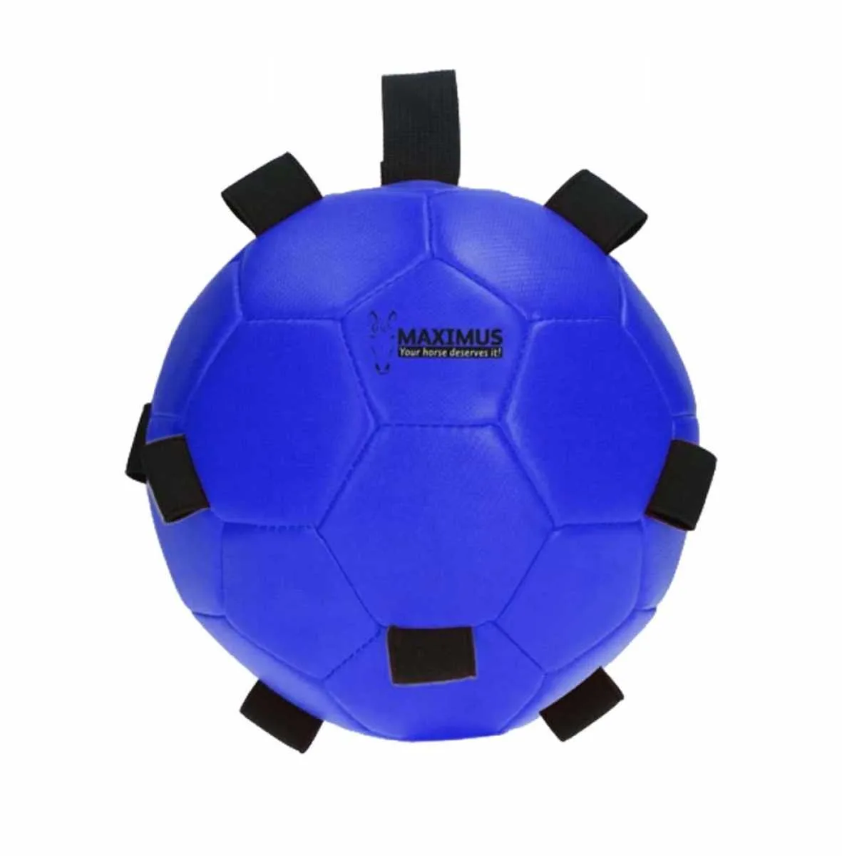 Maximus Fun Play Ball