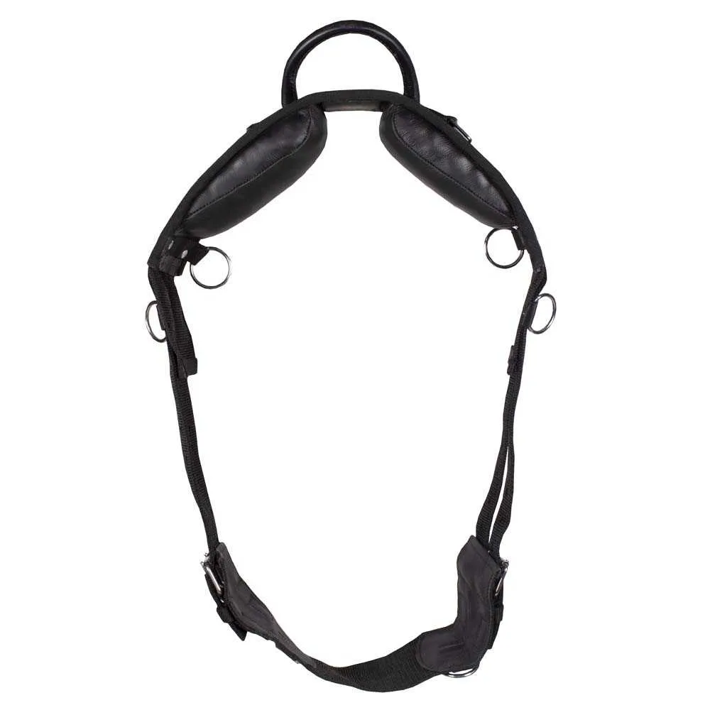 Pagony lunge girth with handle