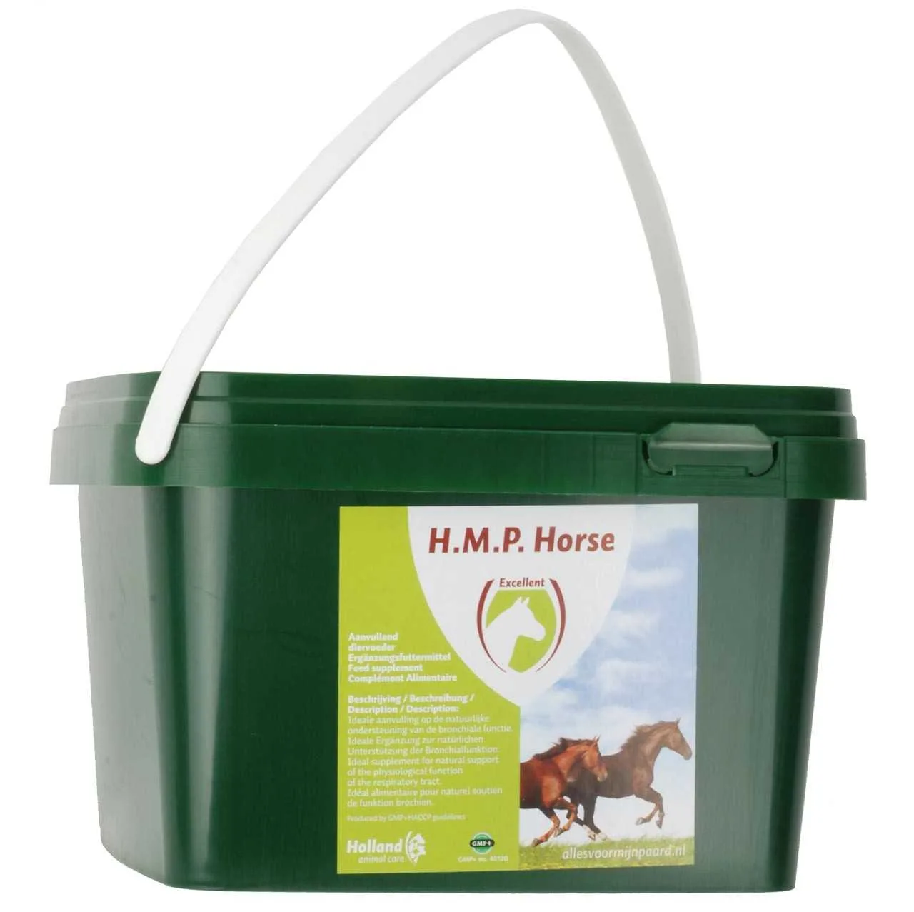Excellent HMP horse