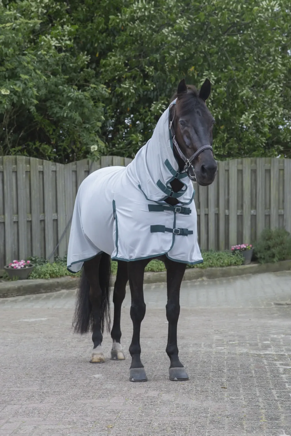 Pagony Big Neck fly cooler plus