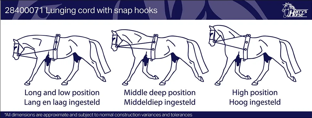 Harrys Horse Lunging Rope