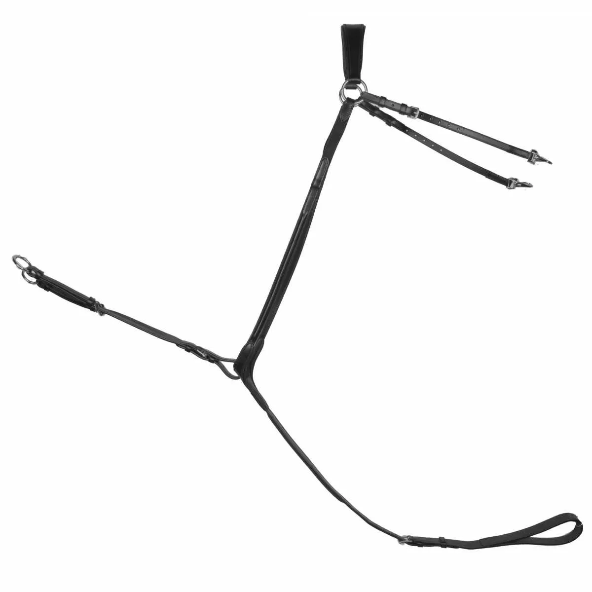 Arturo Badesi harness
