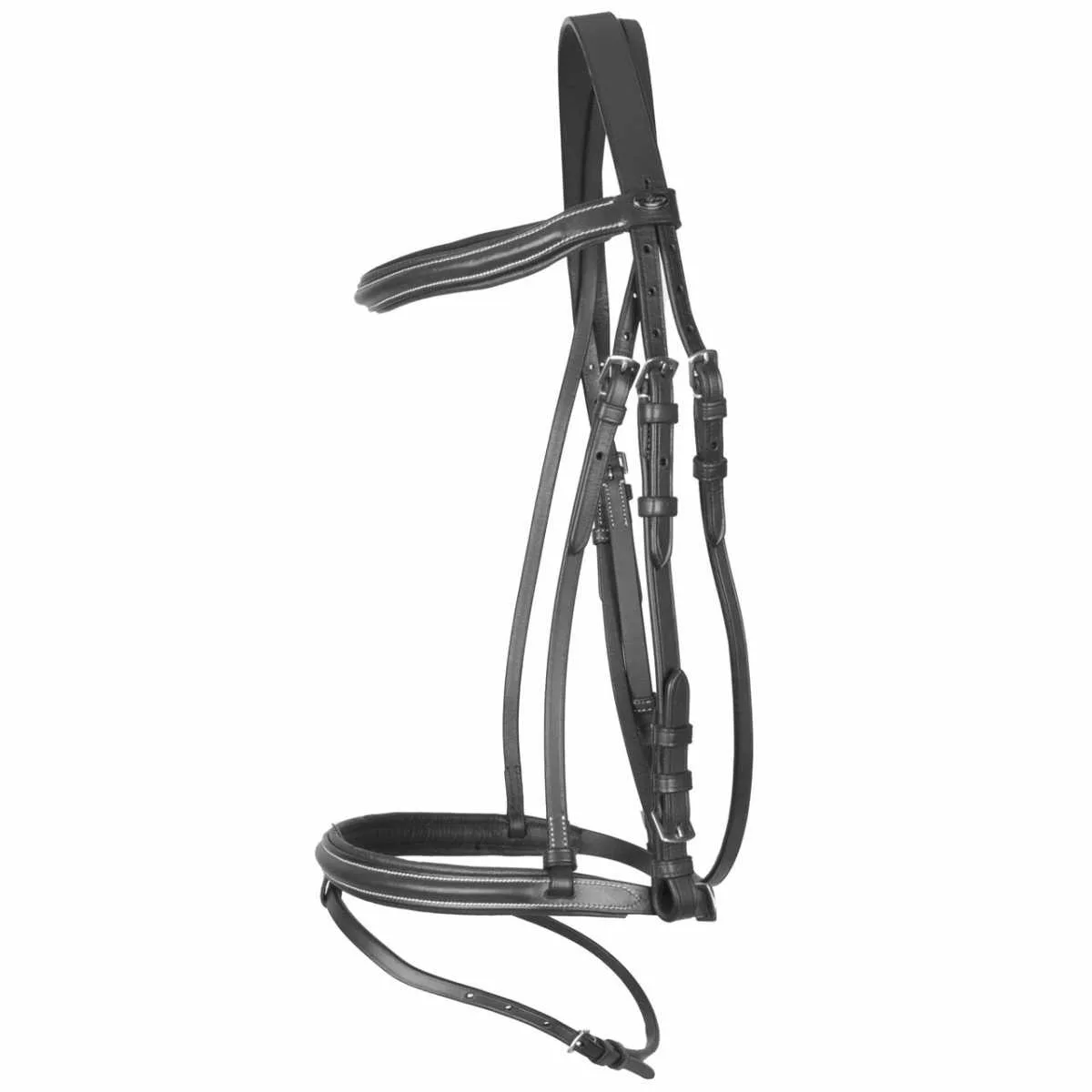 Pagony Basic combi bridle