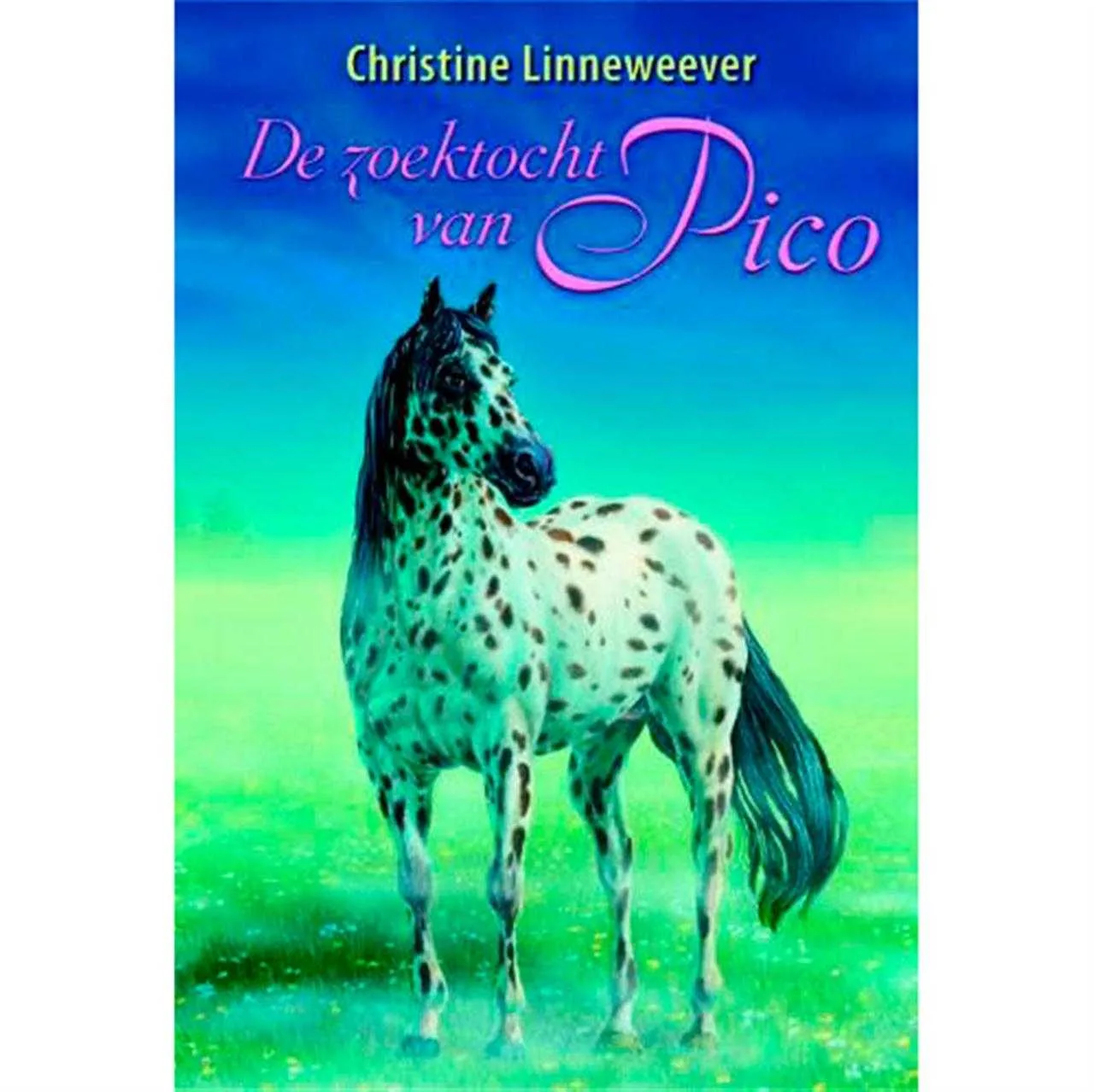 Pico's quest Dutch book