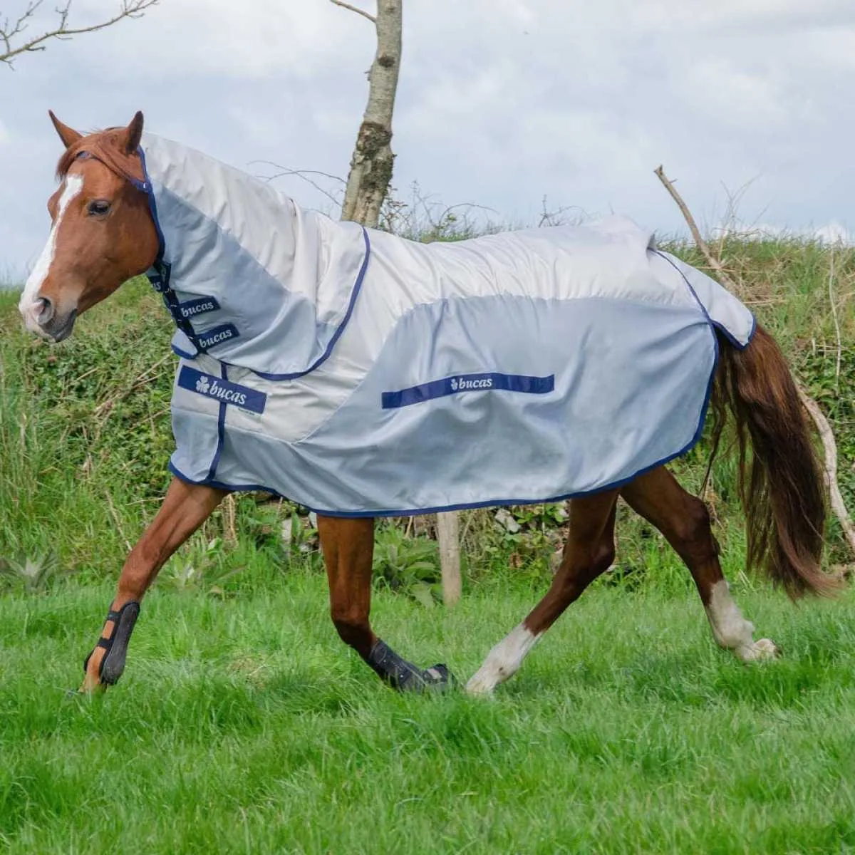 Bucas Buzz-off Rain full with detachable neck