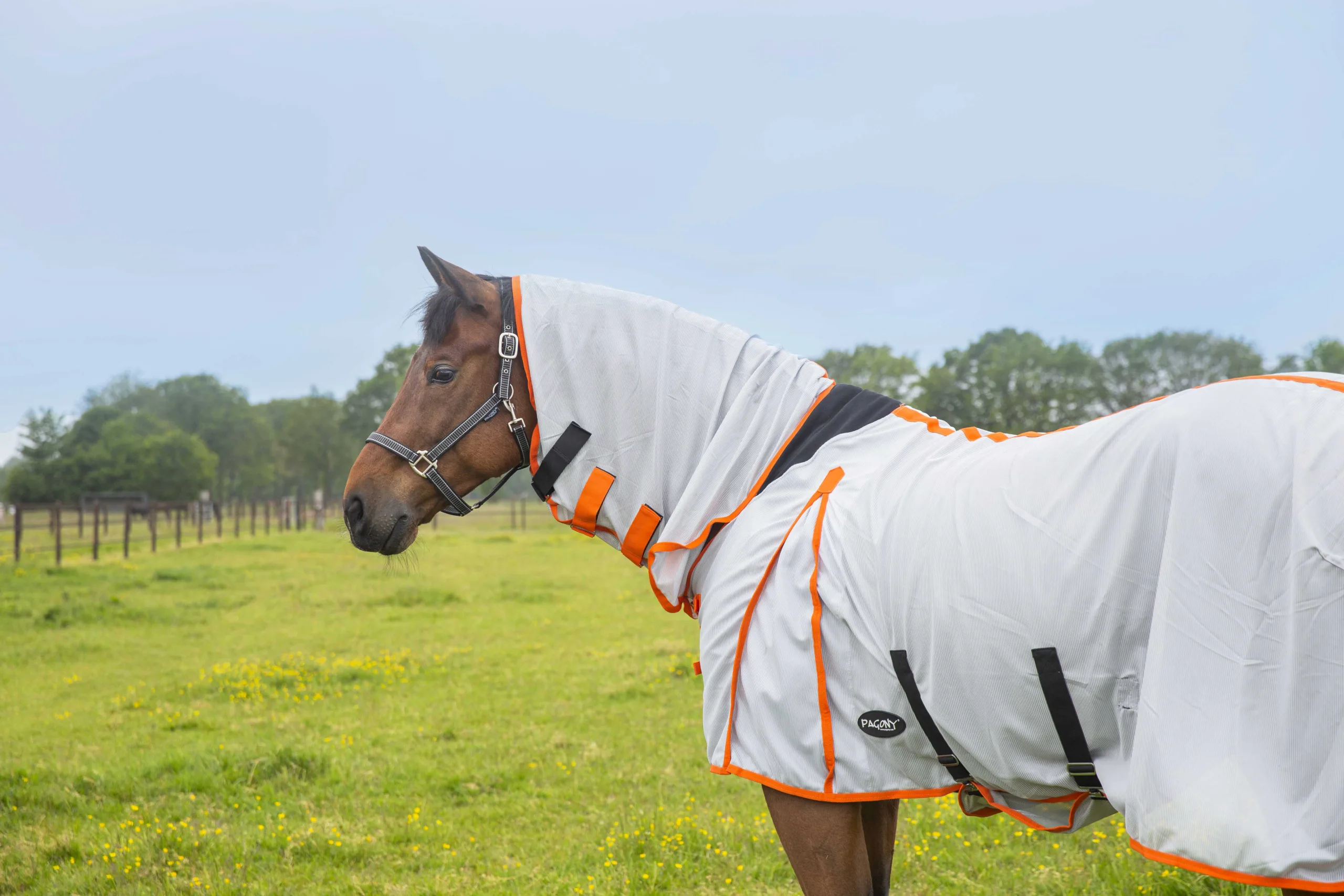 Pagony belly flap plus fly cooler