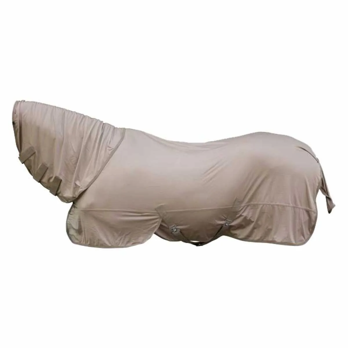 Covalliero Flybe Fly Rug