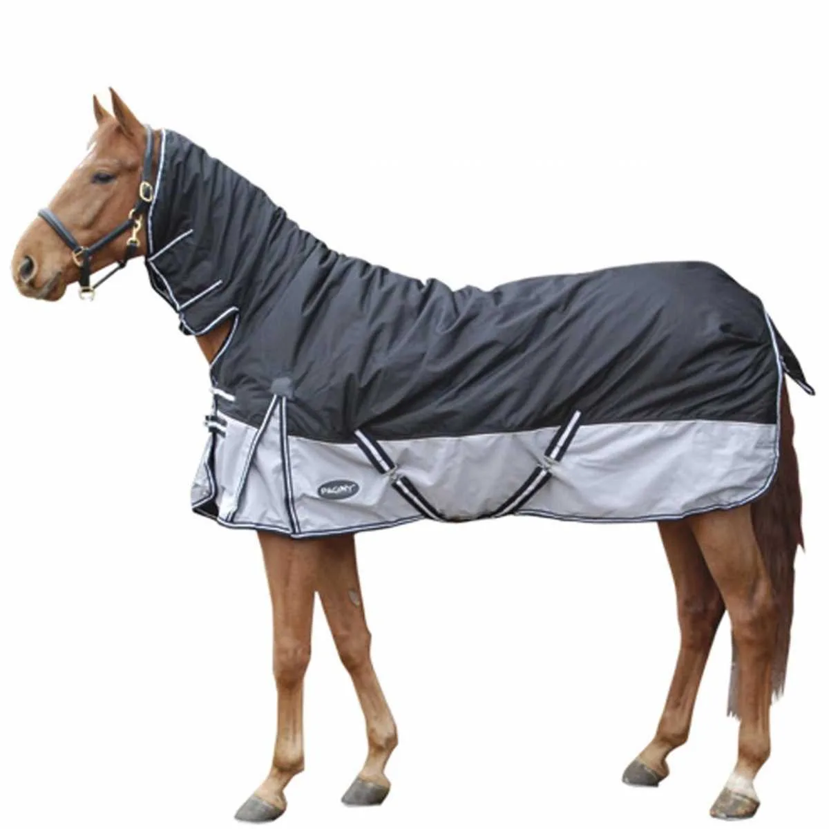 Pagony Tiger 0 Full Neck blanket