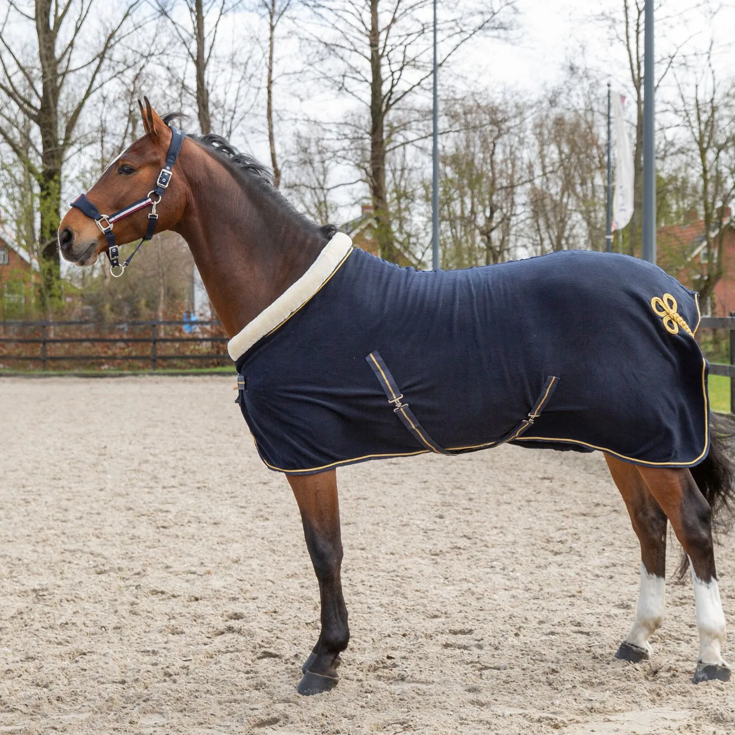 Pagony Collar II show blanket