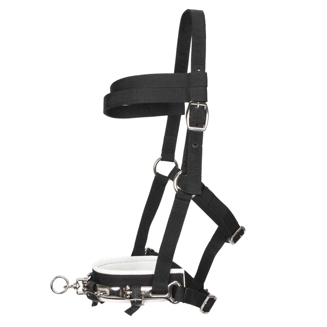 Pagony nylon halter