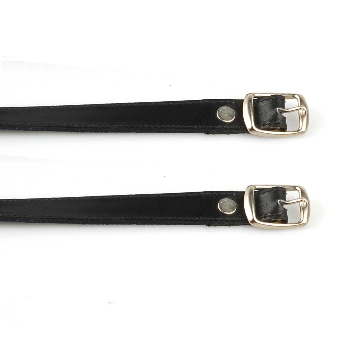 Petrie spur belt