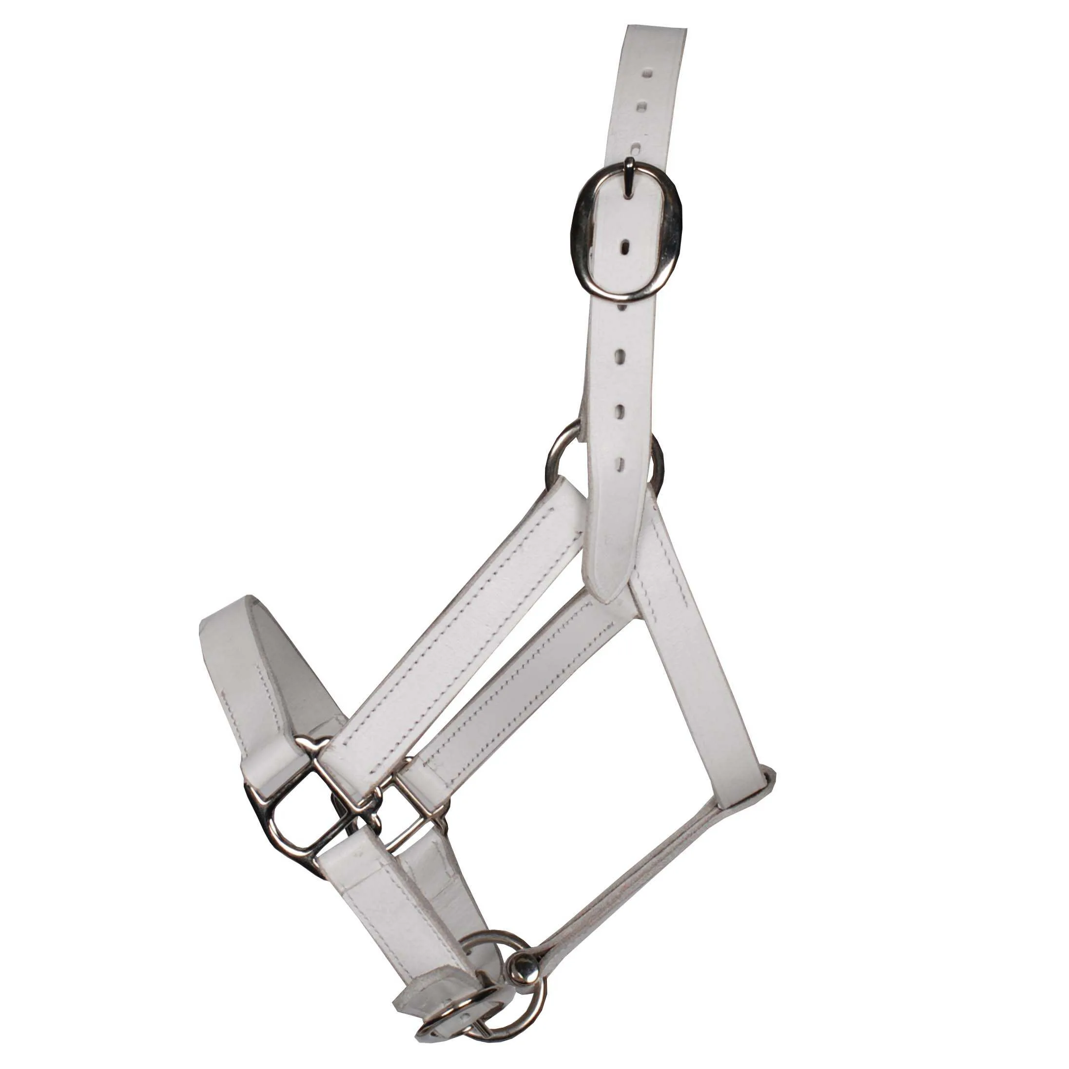 Pagony Shetland wide show halter