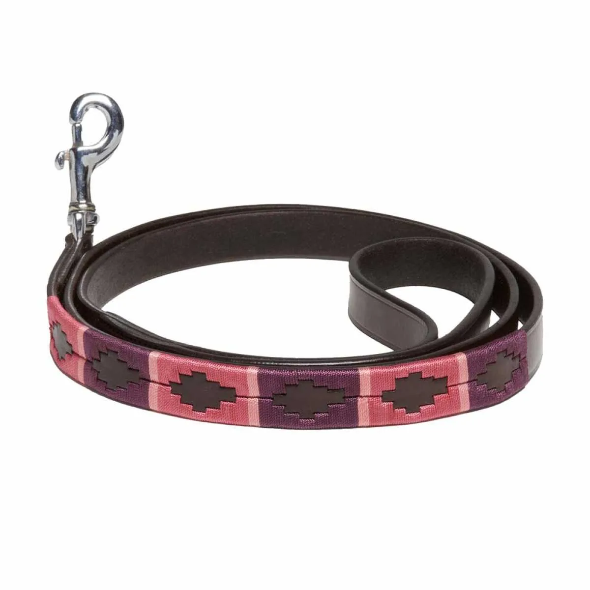 Kieffer Buenos Aires Dog Leash