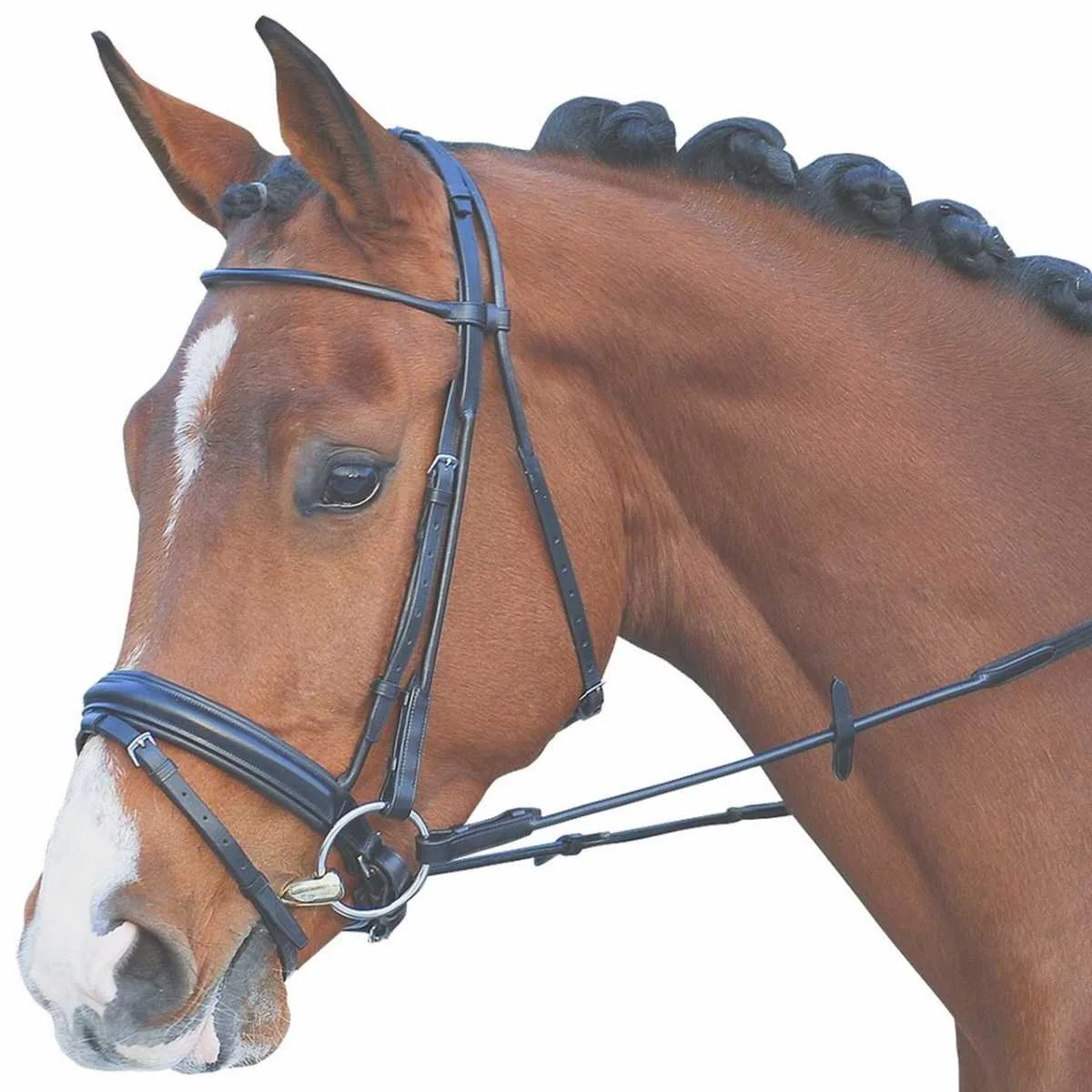 Rossner Granville bridle