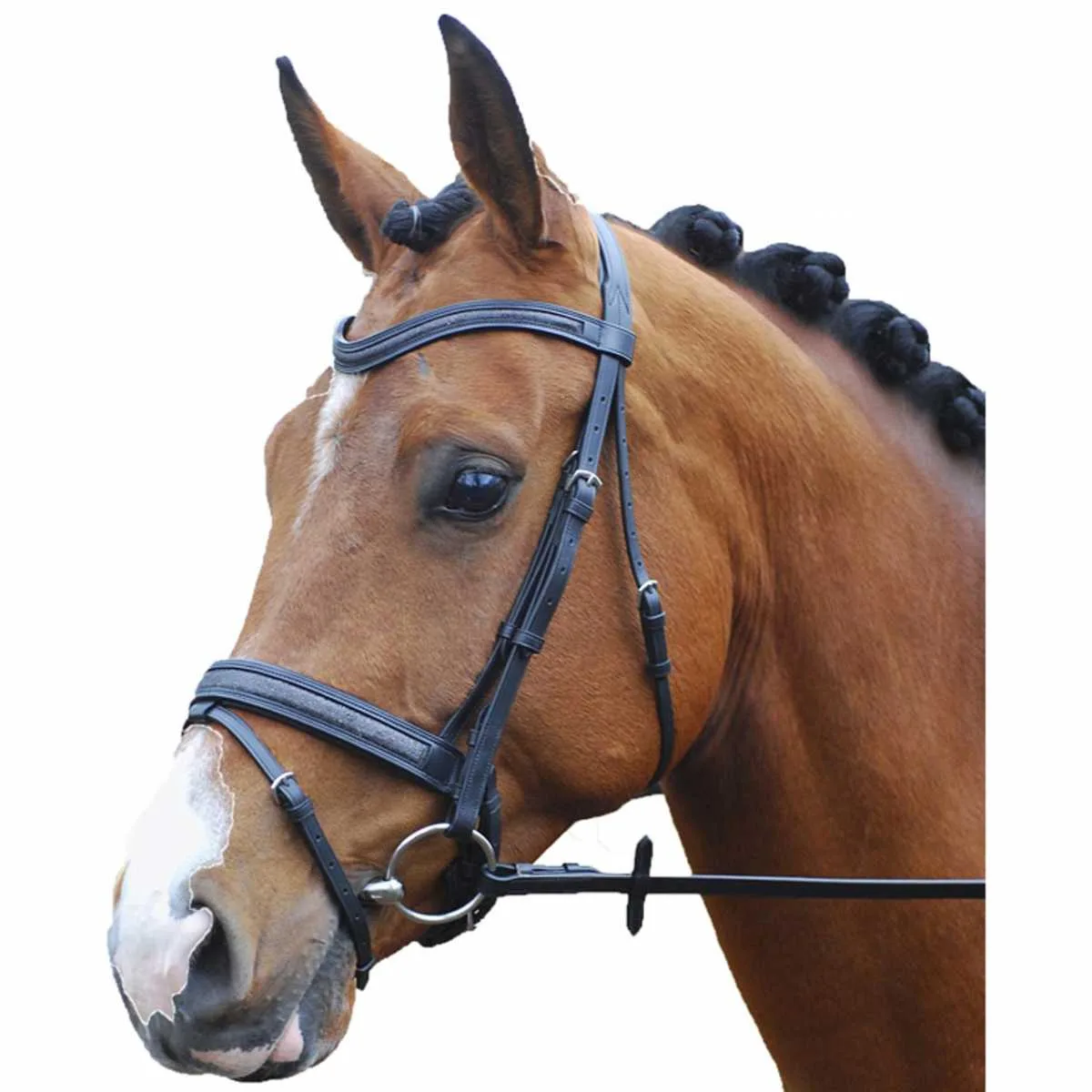 Rossner Shine bridle