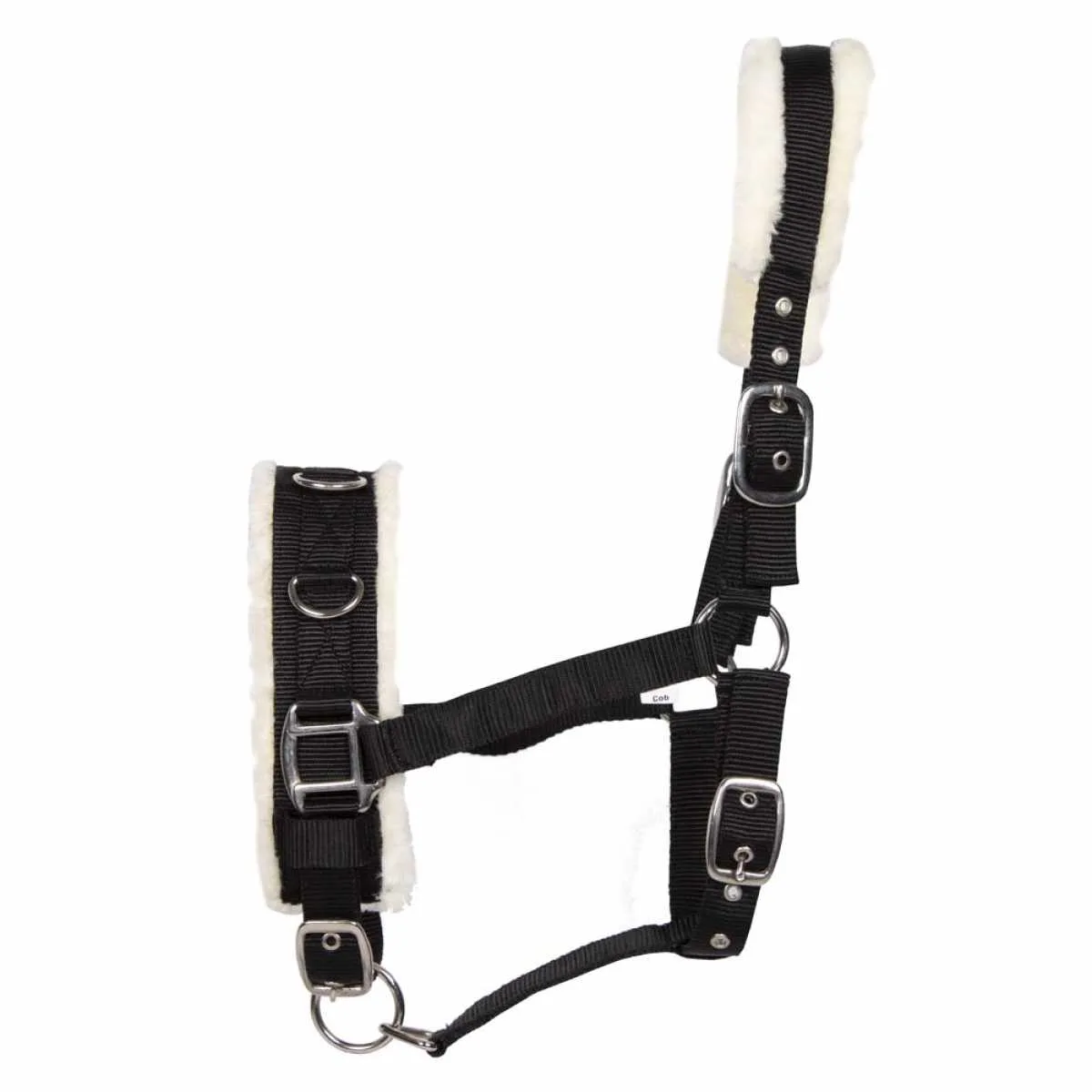 Pagony Lunging Halter/Cavesson