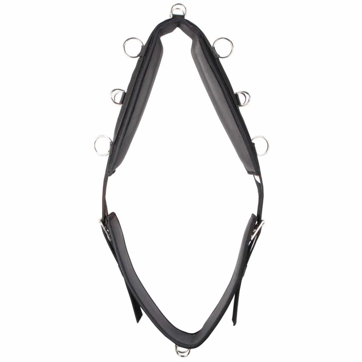 Pagony II Lunging Surcingle