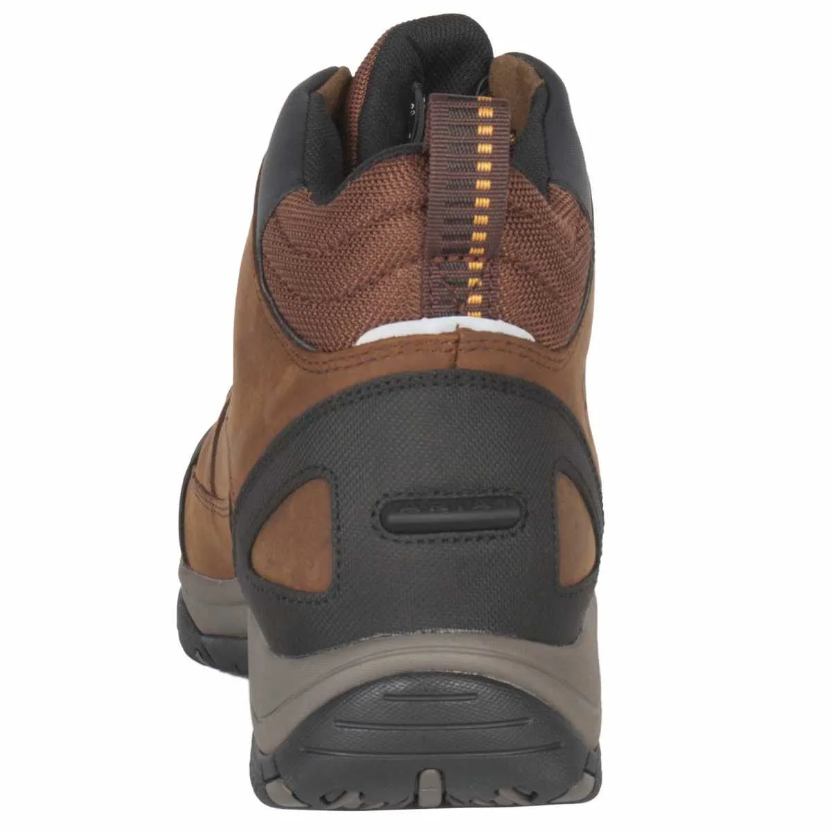 Ariat Telluride II H2o stable shoes men