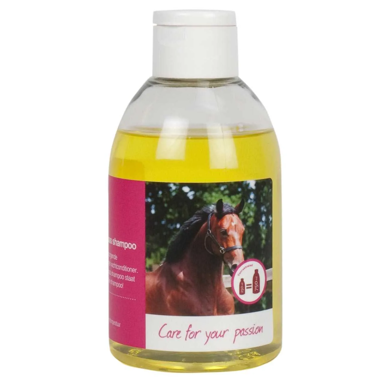 Pagony Care Magic Super Gloss Shampoo 61177