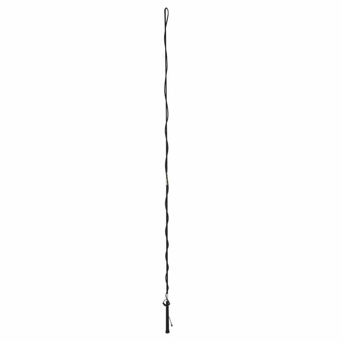 Pagony divisible lunge whip