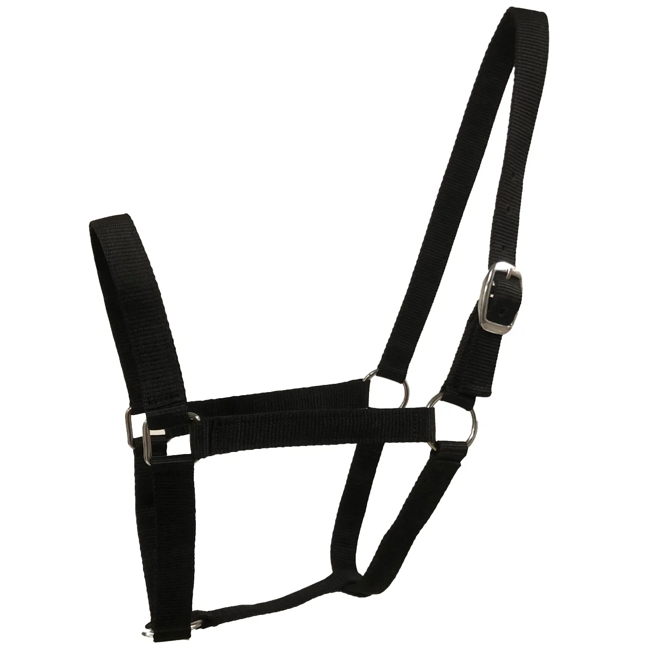 Budget Rider Basic II halter