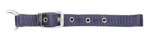 USG Foal Halter