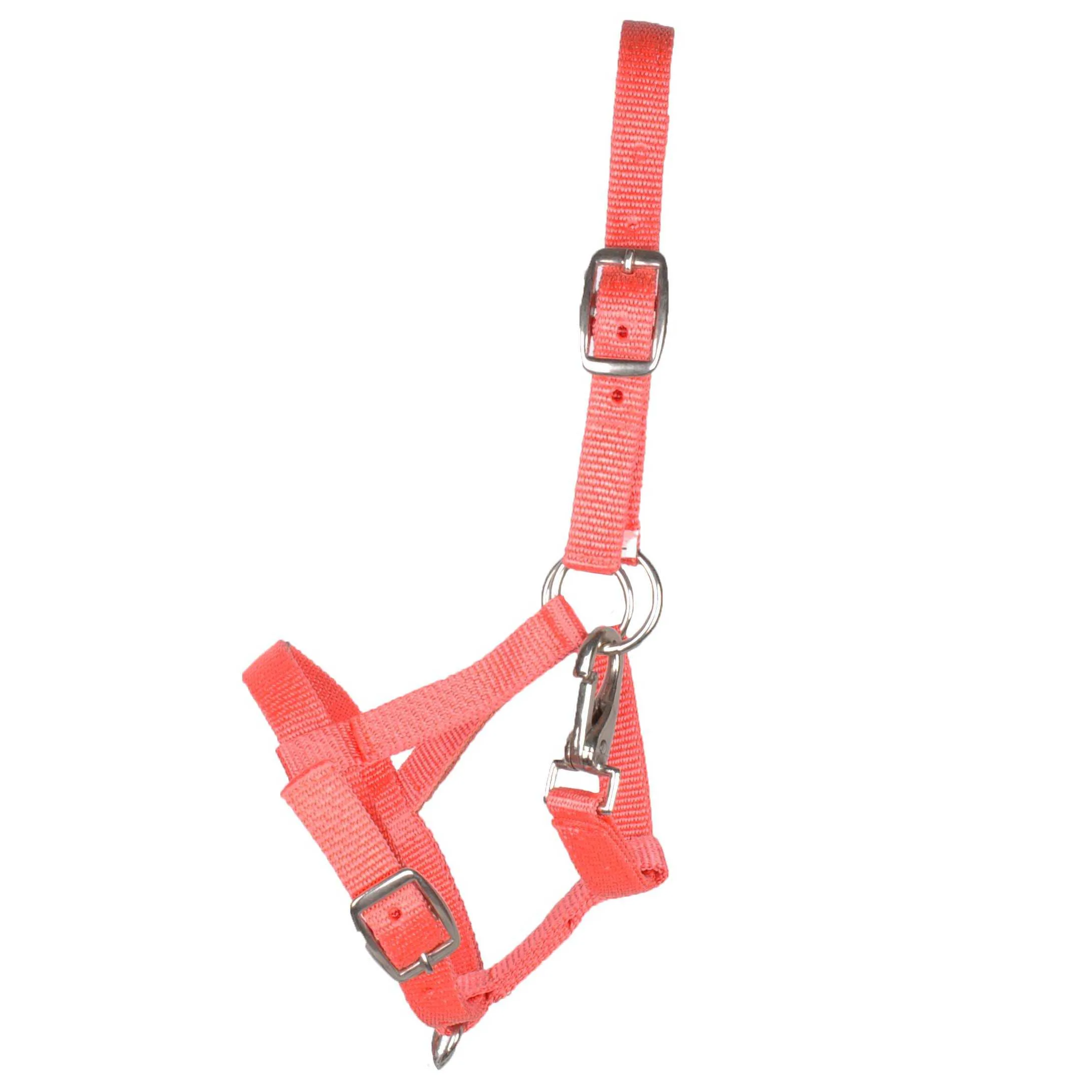 Pagony Happy foal halter