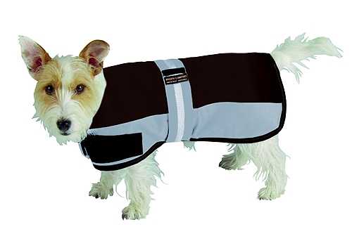 Pagony Tiger dog blanket