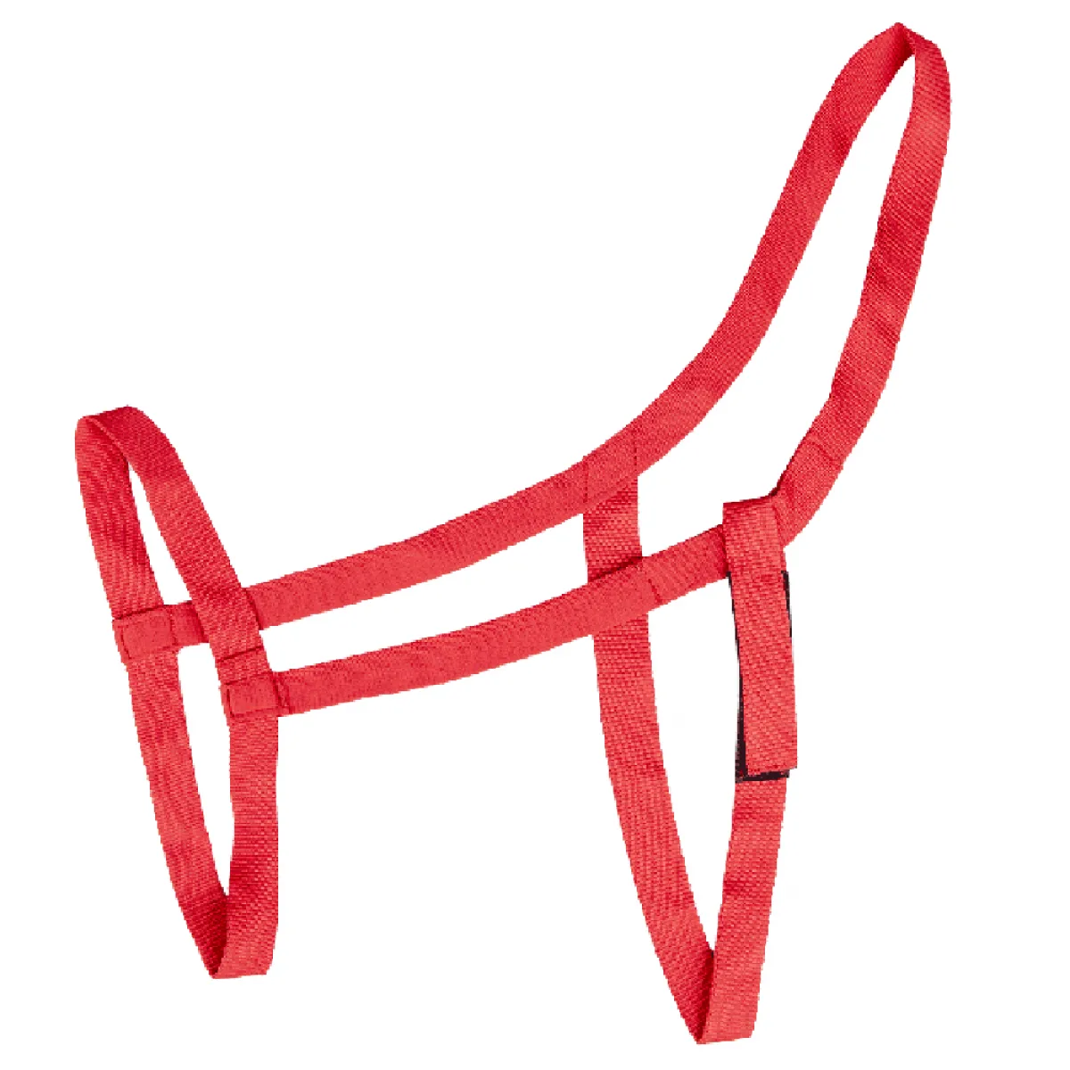 Pagony Pasture Halter