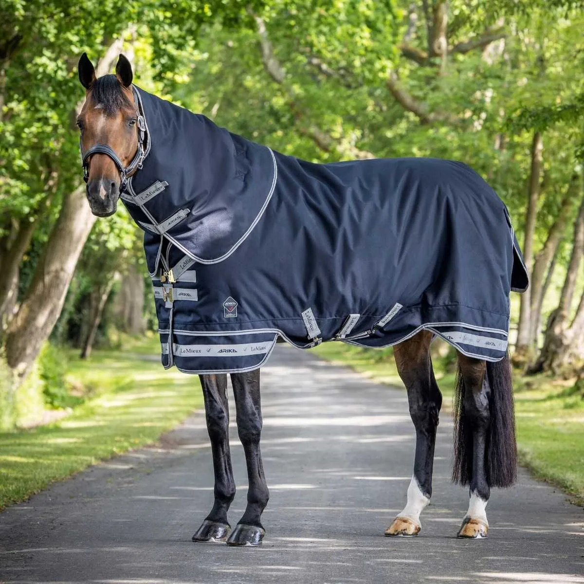 LeMieux Arika Storm-Tek Turnout Rug 100gr