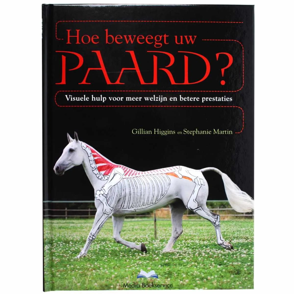 How does your horse move?